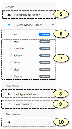 A screenshot of a cell type table

Description automatically generated with low confidence